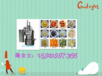 全新款油炸机双室真空油炸锅真空油炸机价格