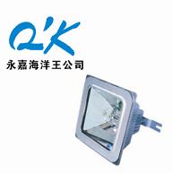 NFC9100-J100永嘉海洋王NFC9100-J10