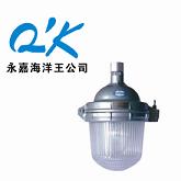 NFC9112-N70永嘉海洋王，非一般的照明灯