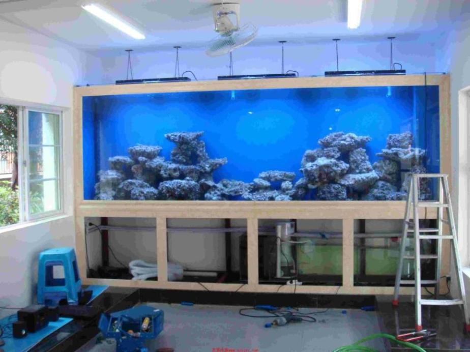 水族工程事例1