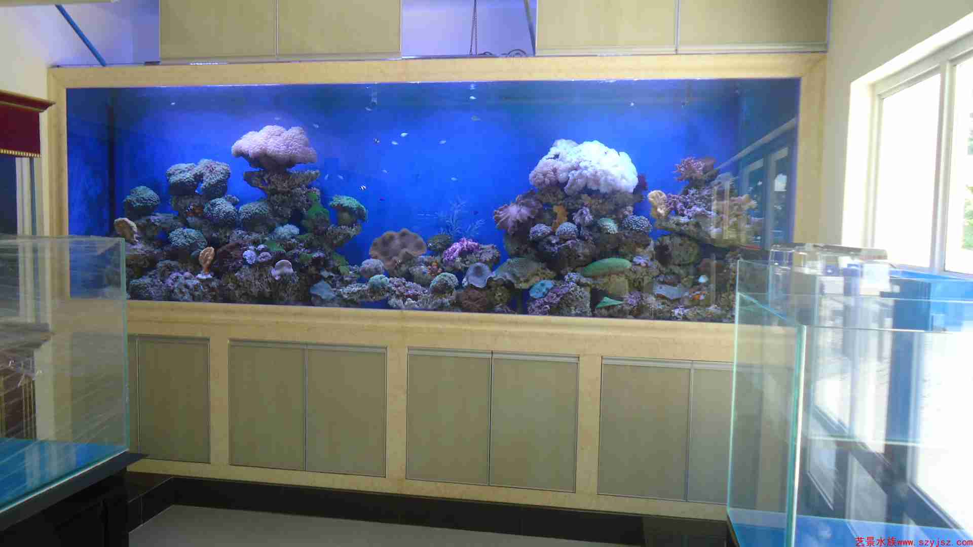 水族工程事例5