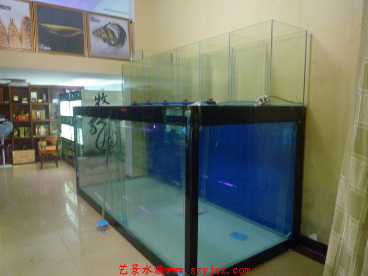 水族工程事例6