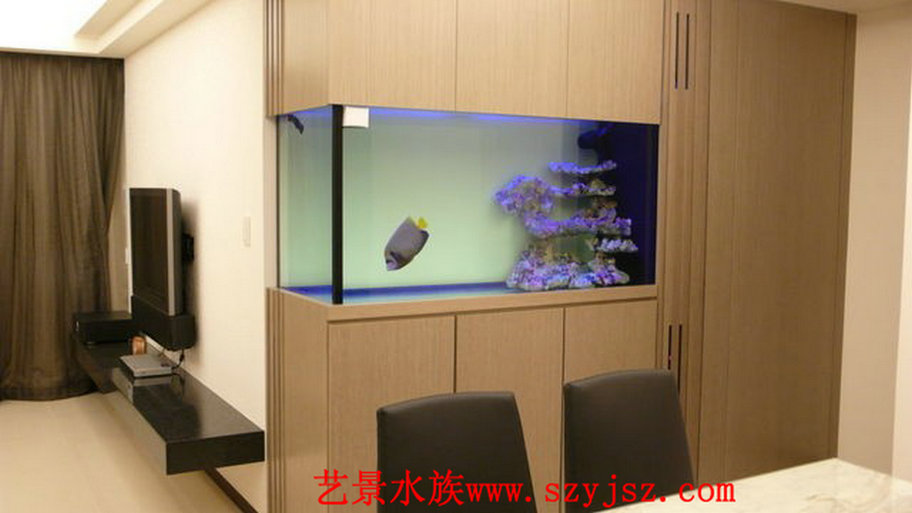水族工程事例8
