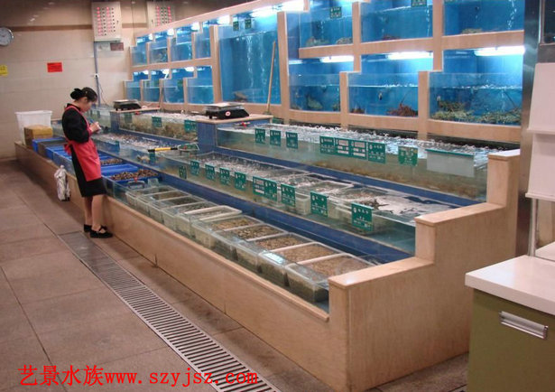 水族工程事例9