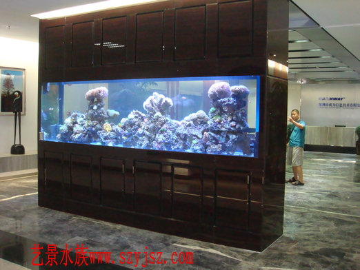 水族工程事例10