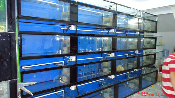 水族工程事例12