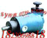 63SCY14-1B泵63SCY14-1BF泵63SCY14